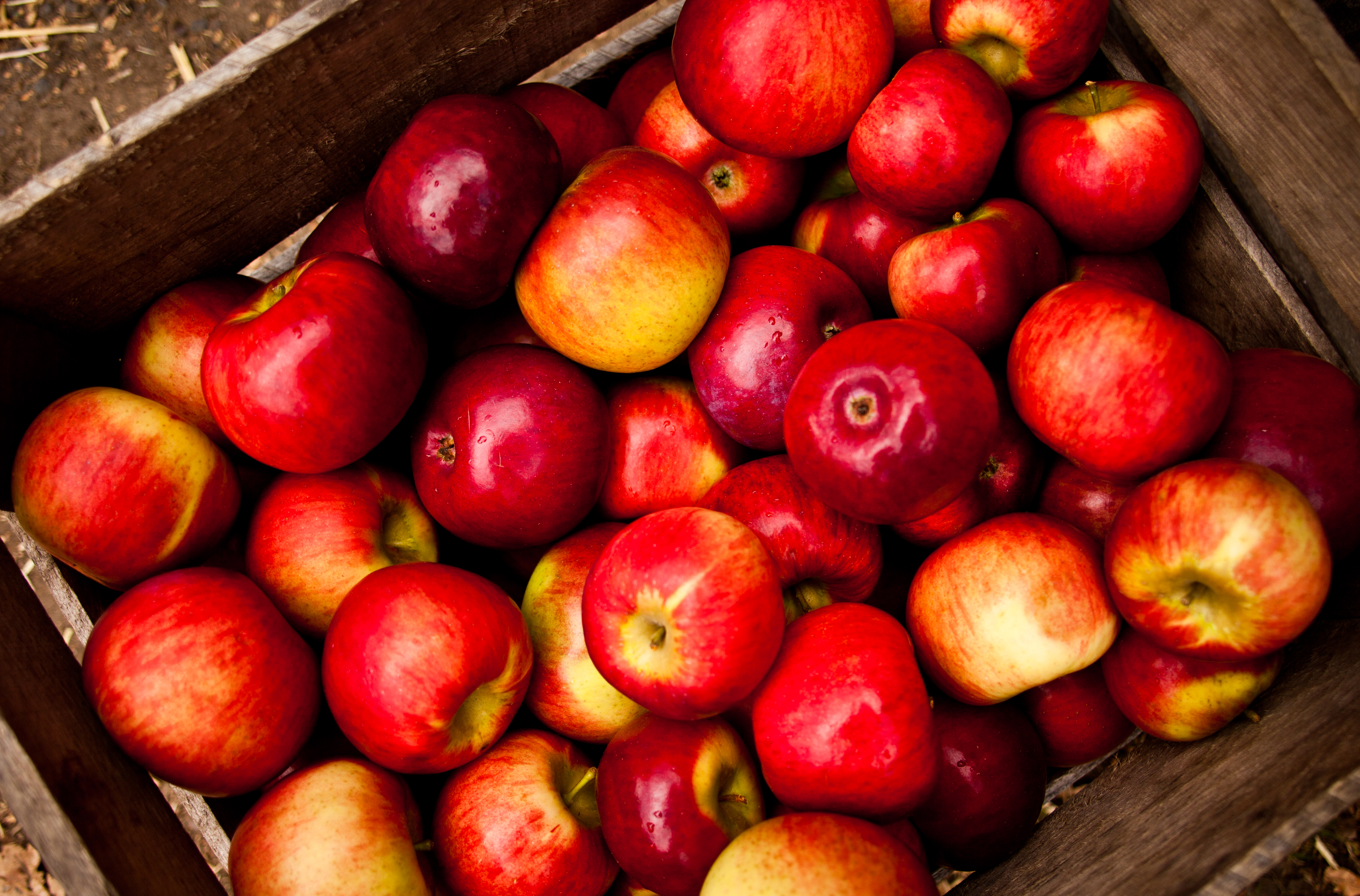 Сон есть красные яблоки. Яблоки красные. Яблоко магазин. Много красных яблок. Яблоки кверцетин.